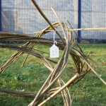 willow sculpture of chemical structure of sulphuric acid